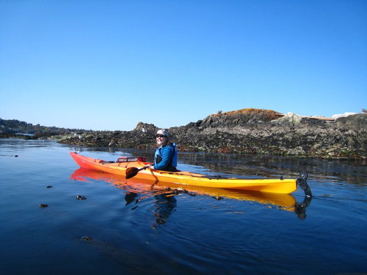 Kayak rental Victoria inner harbour or seal island