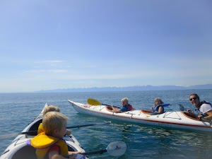 A Day in Victoria - Kayak & SUP - Tours, Rentals & Courses place picture